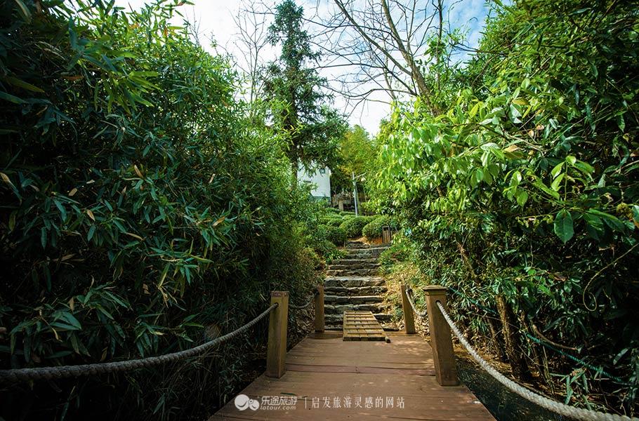 黄山德懋堂全景,世界的黄山