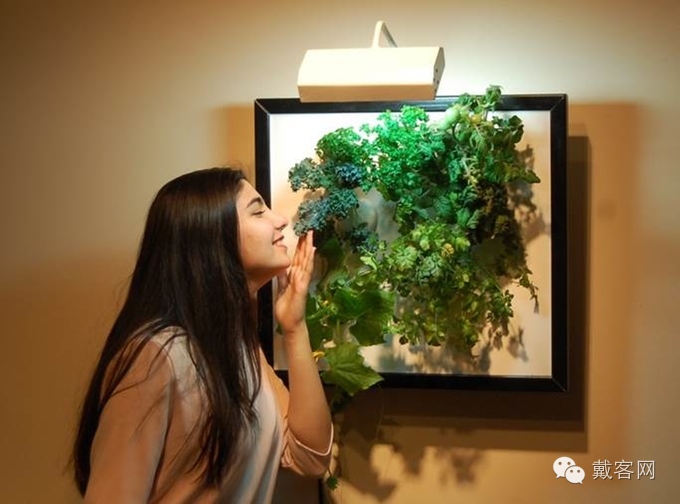 戴客网5月智能硬件新品总汇