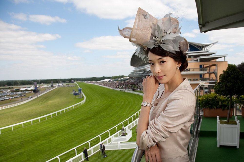 马术需要关注几个误区,观赏马有哪些