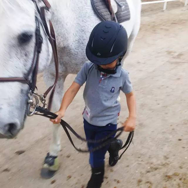 马术需要关注几个误区,观赏马有哪些