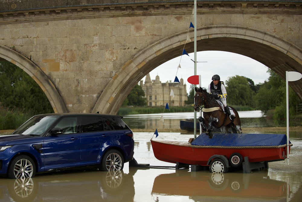 马术需要关注几个误区,观赏马有哪些