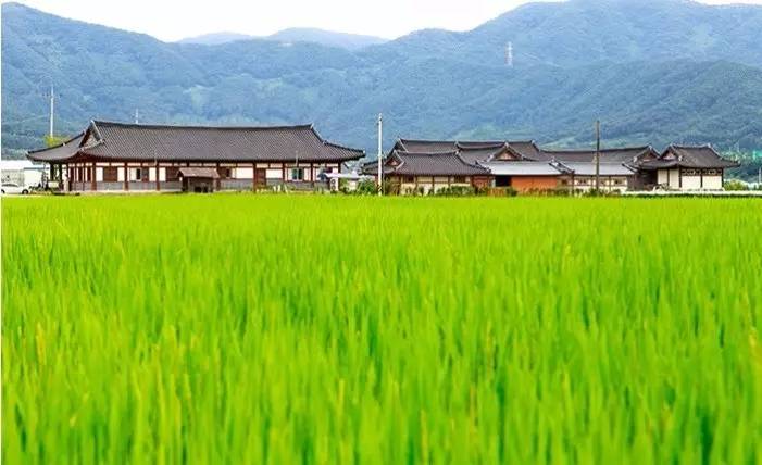 普天同庆六一快乐,普天同庆六一儿童节