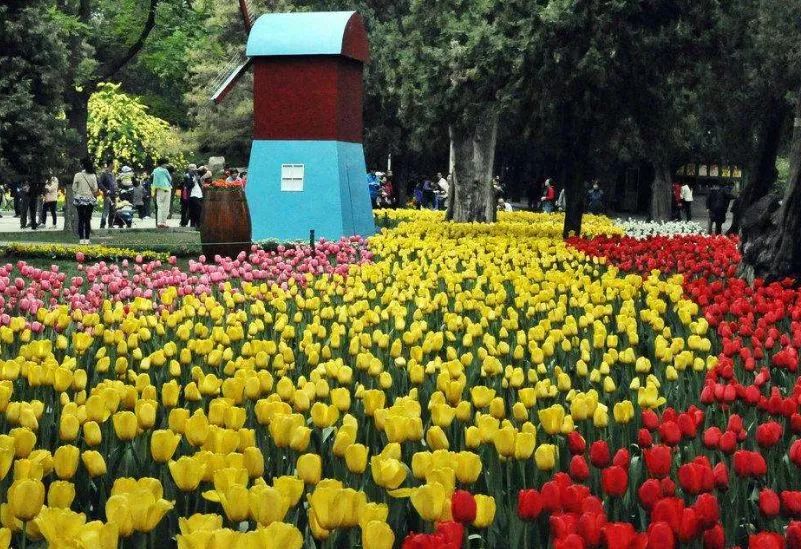 北京游玩一年不重样,一天游北京攻略大全