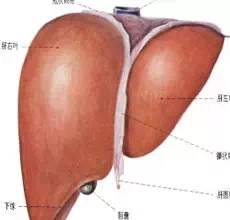 多少人没熬过高危期,多少人没熬过危险期