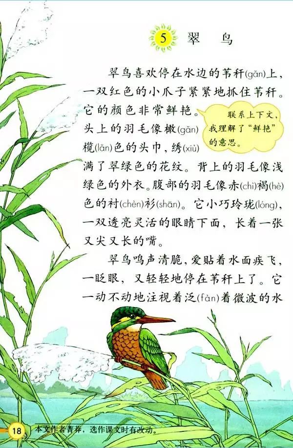 三年级上语文教材全解电子版免费,人教版三年级语文上册新教材