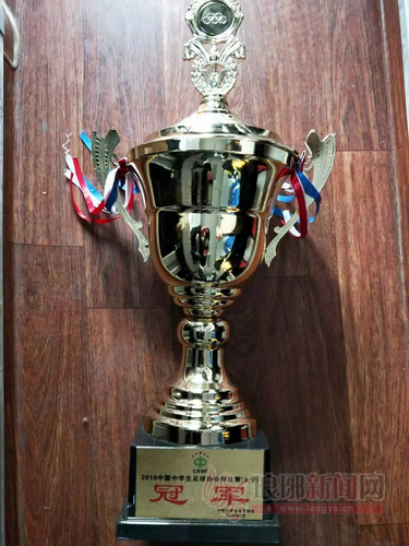 郯城一中女足谁去国家队了,郯城二中女足载誉归来