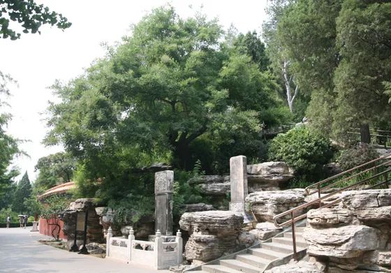 北京城的中轴线旅行,从北京开始往南游玩攻略