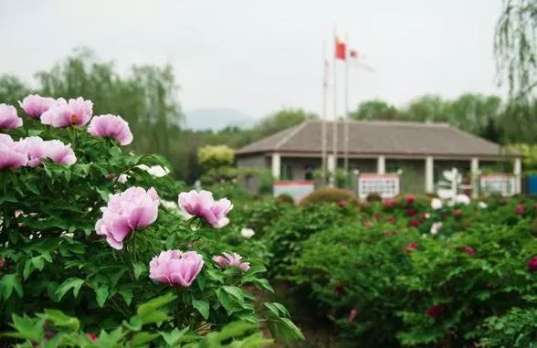 北京游玩一年不重样,一天游北京攻略大全