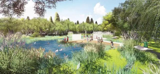 双流区新建设公园,双流规划的公园