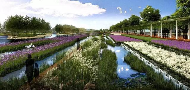 双流区新建设公园,双流规划的公园