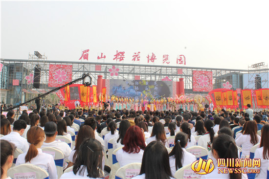 四川眉山樱花博览园,眉山岷江樱花视频