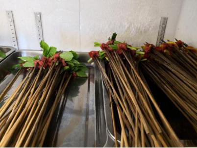 重庆串串火爆探店,重庆有哪些火爆的串串店