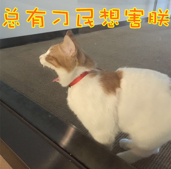 爱抚后我为何燥热难耐浑身发痒？