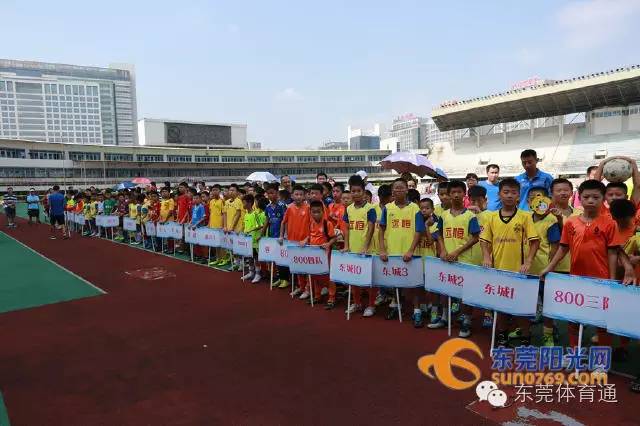 东莞少年三人足球比赛,2024东莞市青少年足球锦标赛