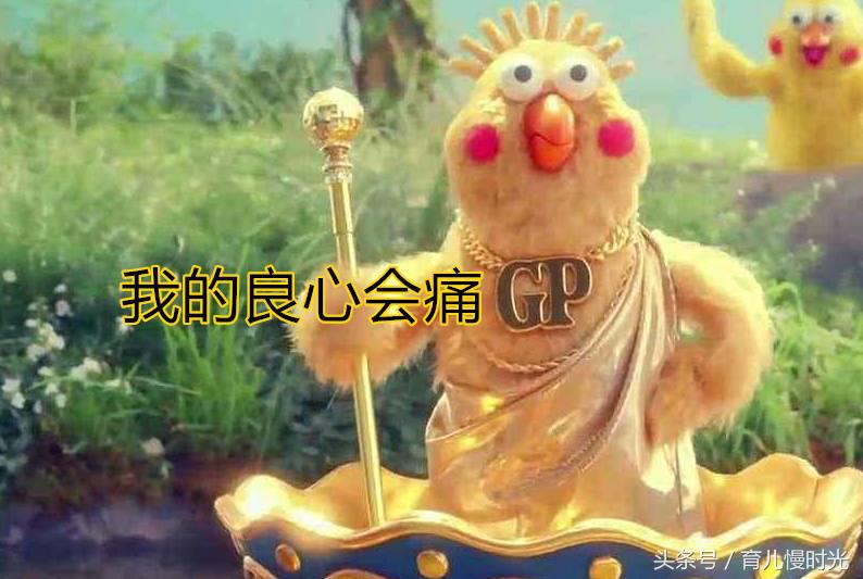 怀孕家人不支持养猫怎么办,怀孕养狗与家人产生分歧