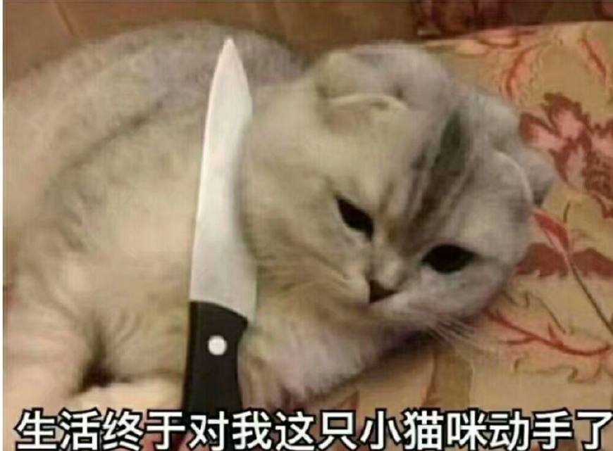 狗后腿被人摔骨折了,狗摔断腿去医院看病