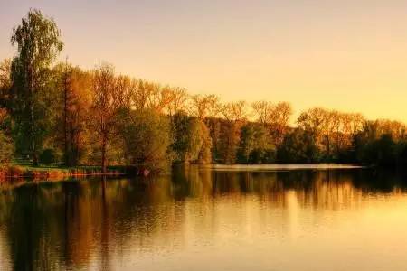 欧洲中世纪又脏又乱的历史,中世纪的历史与文化