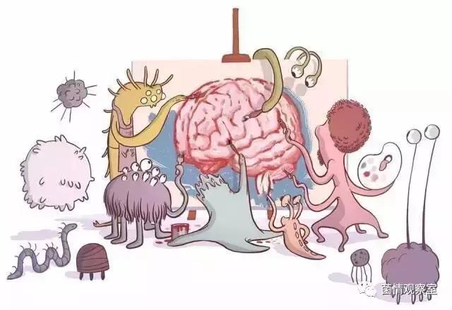 改变肠道菌群或能影响大脑健康,肠道菌群真的能控制大脑吗