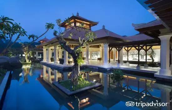 猫头鹰酒店排名,猫头鹰十大排名