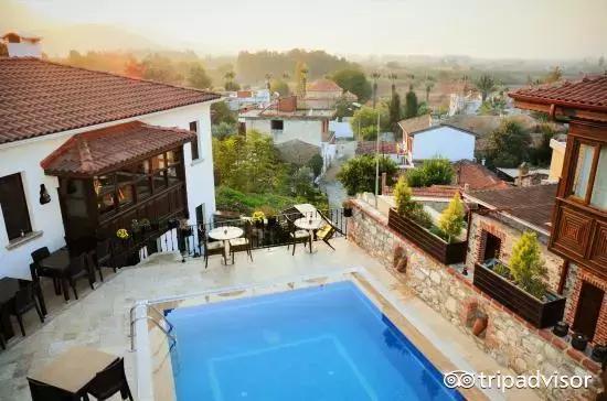 猫头鹰酒店排名,猫头鹰十大排名