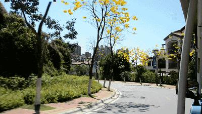 818/套--枕在绿水青山间！我替你们试睡了希尔顿在惠州的新开酒店