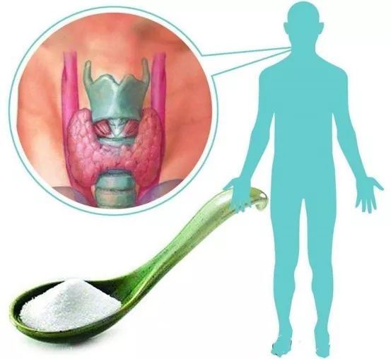 甲府事件有哪些,甲府市在哪里