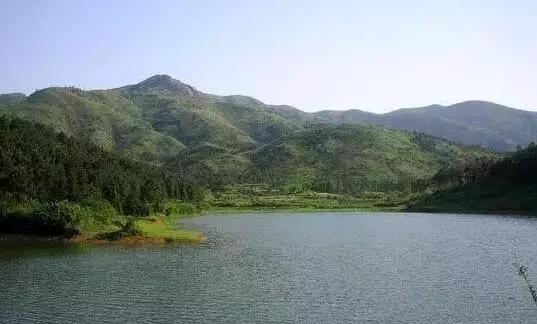 无为牛埠汪光岭判多少年,南通到无为老牛埠大巴车