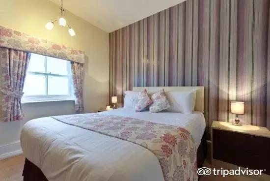 猫头鹰酒店排名,猫头鹰十大排名