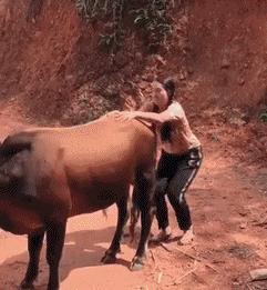 傻乎乎的女孩惹人爱,傻乎乎的妹子完整版