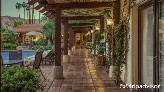 猫头鹰酒店排名,猫头鹰十大排名