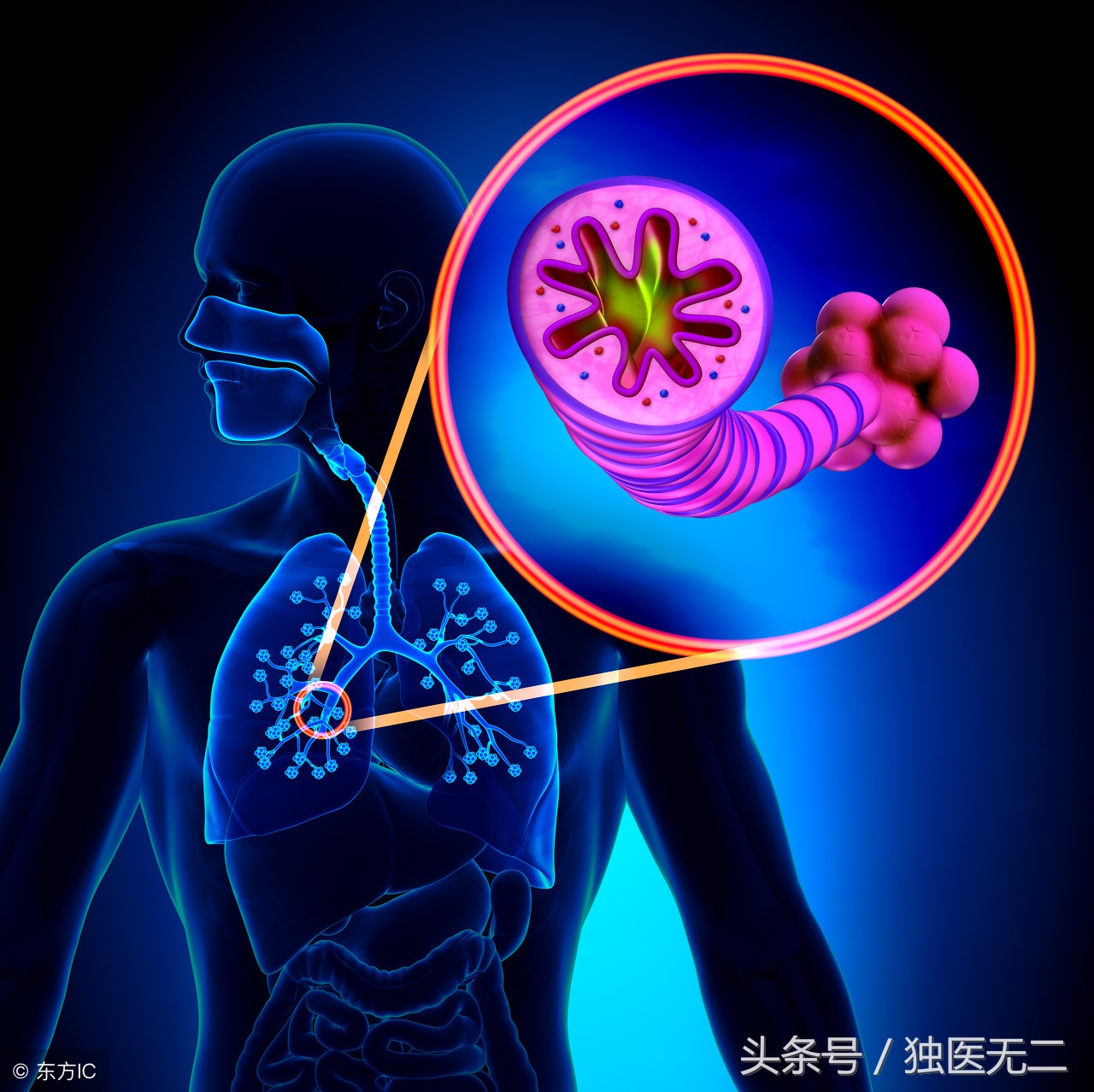 儿童咳嗽变异性哮喘,咳嗽变异性哮喘正确的诊断依据是