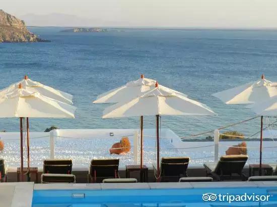 猫头鹰酒店排名,猫头鹰十大排名