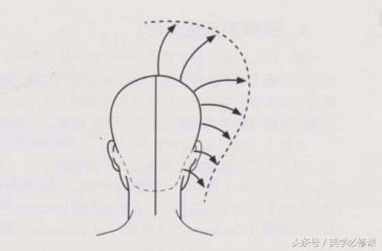 沙宣美发的十大基础知识,美发课程沙宣