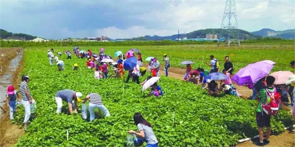 如何走好乡村旅游道路,如何做好乡村休闲旅游