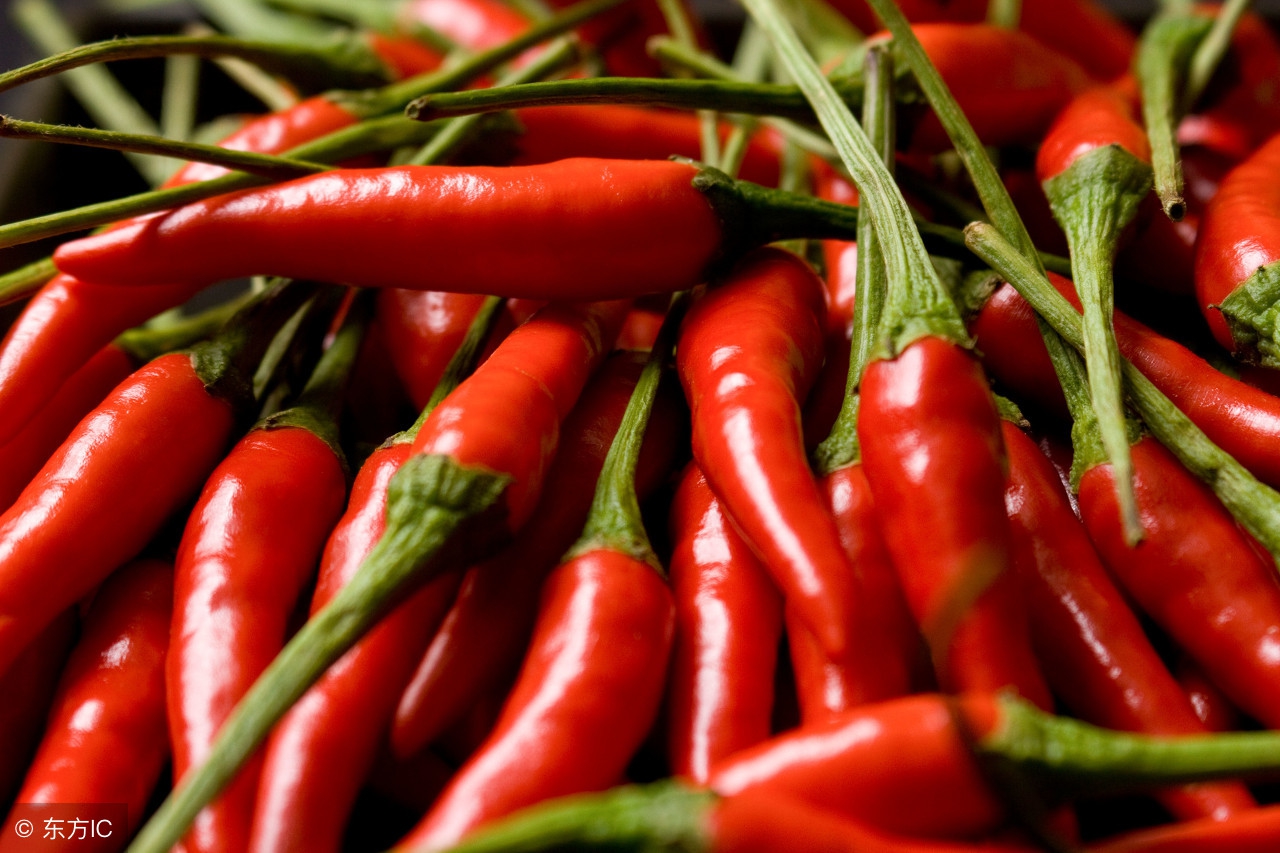 最近辣椒价格最高是多少钱一斤,今日辣椒价格多少钱一斤