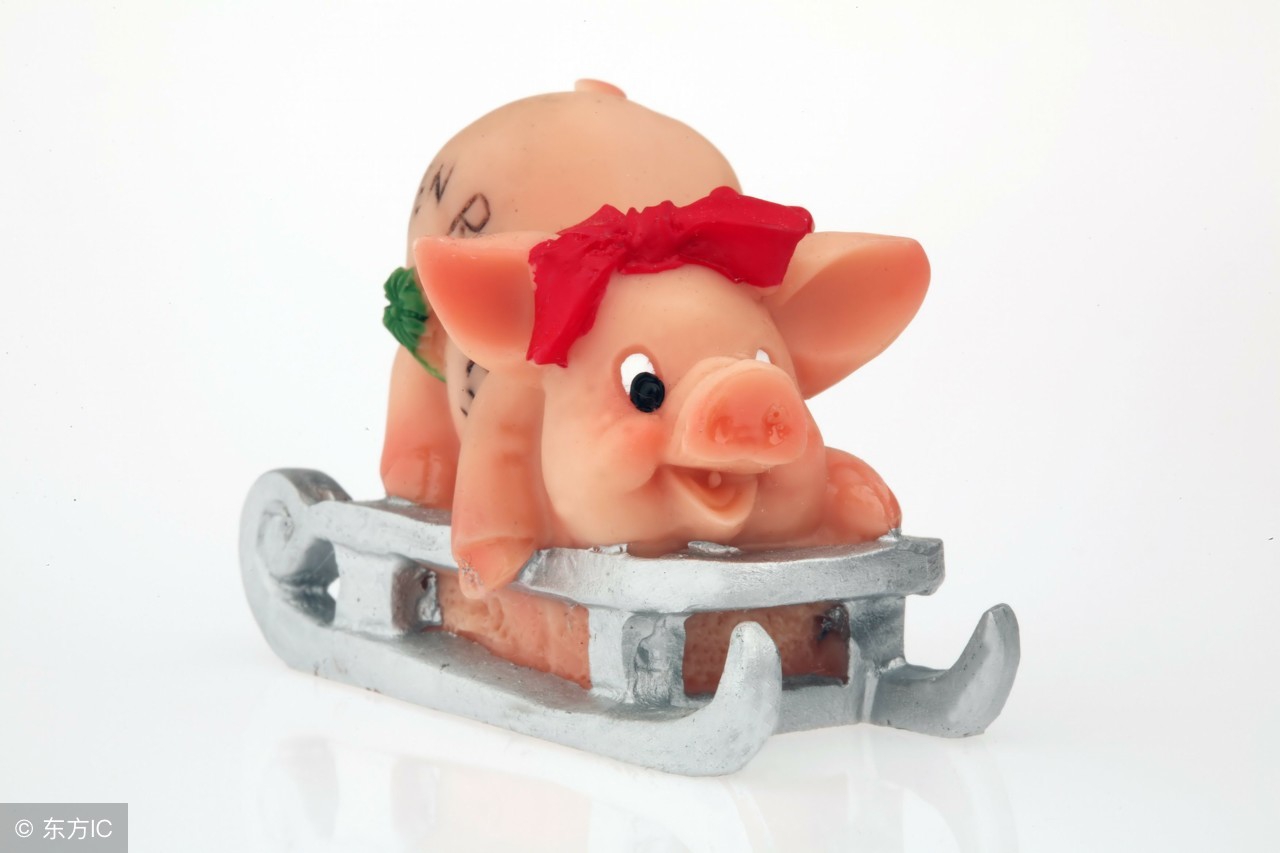 十二生肖运势2019年属猪人运势,属猪本命年流年运势怎么样