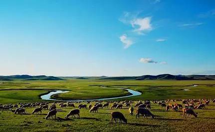 青海三文鱼网购,青海三文鱼购买网站