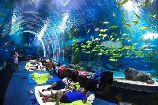 普天同庆六一快乐,普天同庆六一儿童节