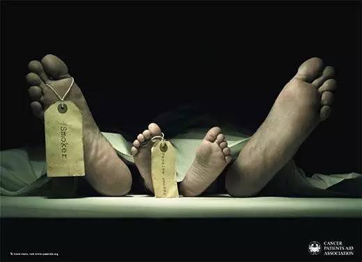 世界无烟日|一张图片就能戒烟，就看你敢不敢看了!