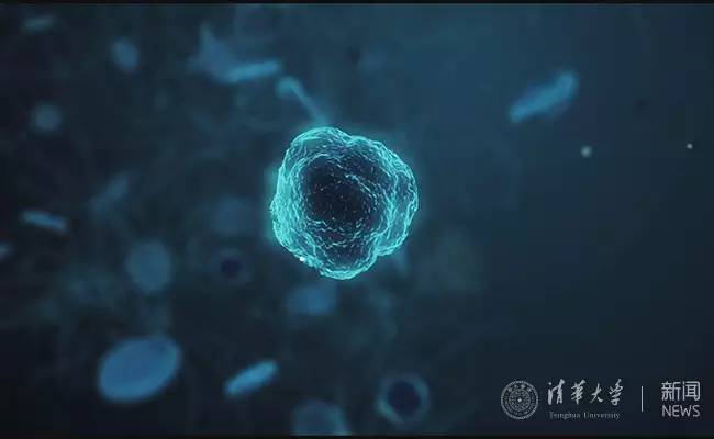 清华大学化学系金涌院士视频,金涌院士讲化工