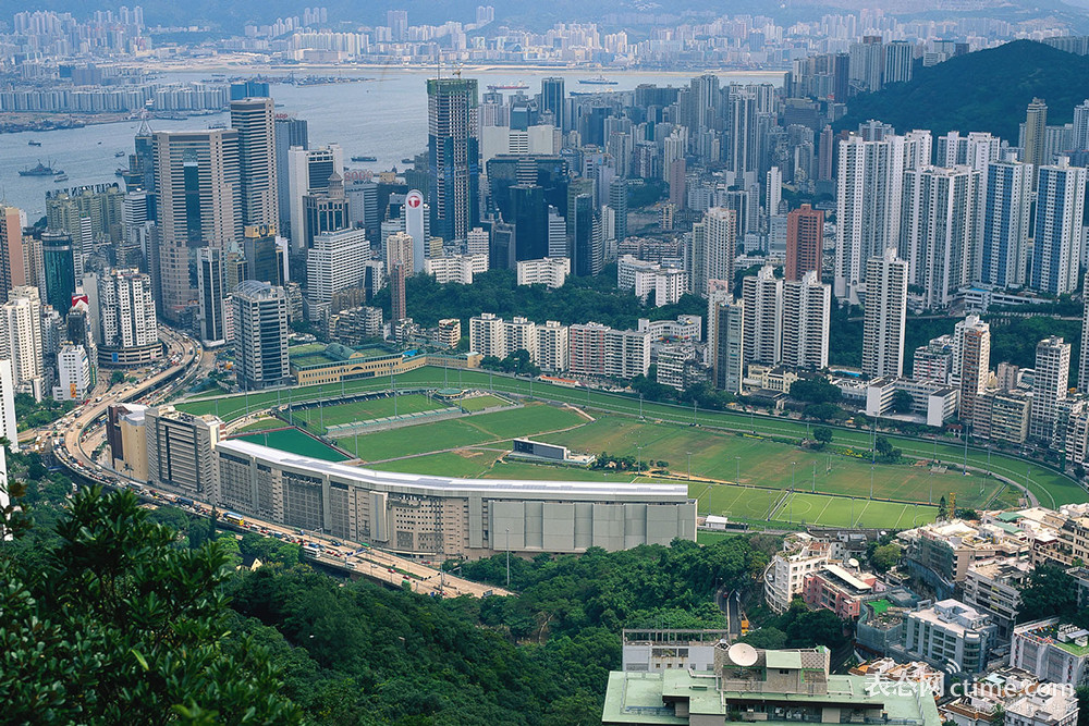 马术需要关注几个误区,观赏马有哪些