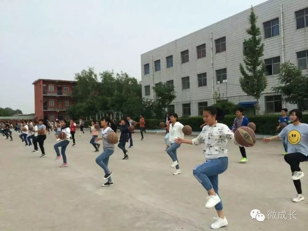 校园新闻最新,最新校园报道视频