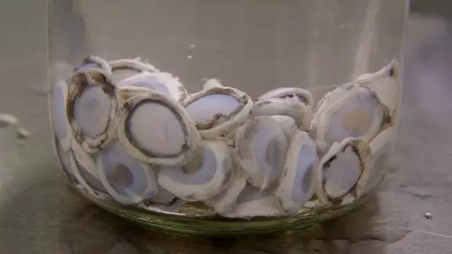 贵州有哪些科学技术项目,中国贵州超级工程里的世界之最