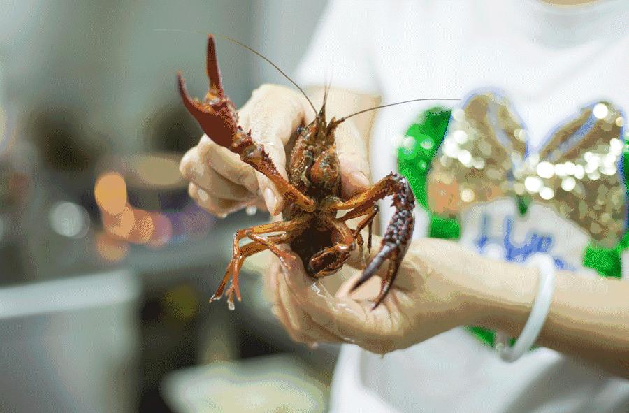 小龙虾广州热销,广州小龙虾店推荐