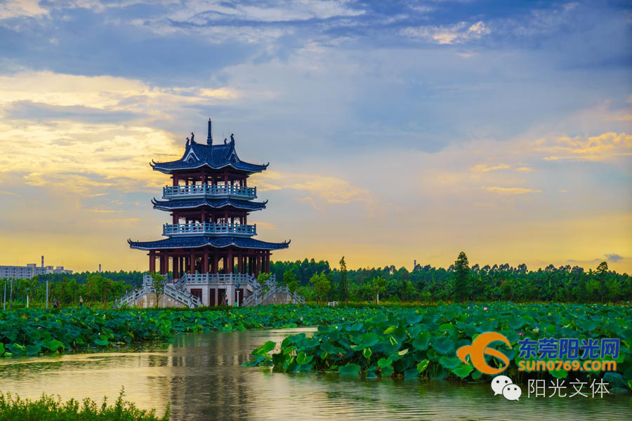 麻涌镇运会要来啦！这个夏天，不妨来麻涌观赛赏花赏美景吧！