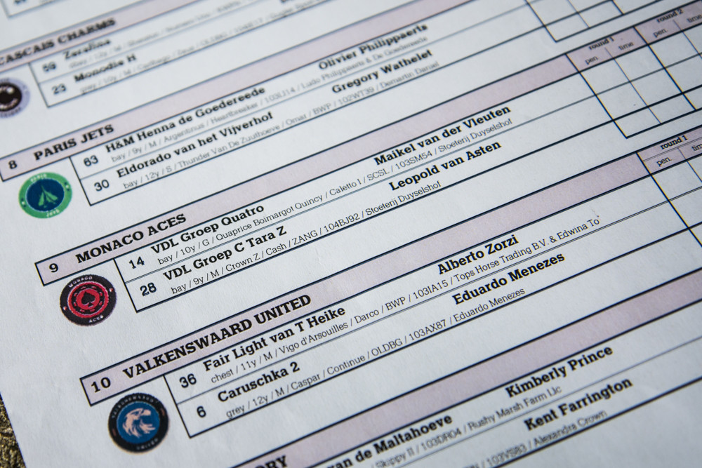 马术需要关注几个误区,观赏马有哪些