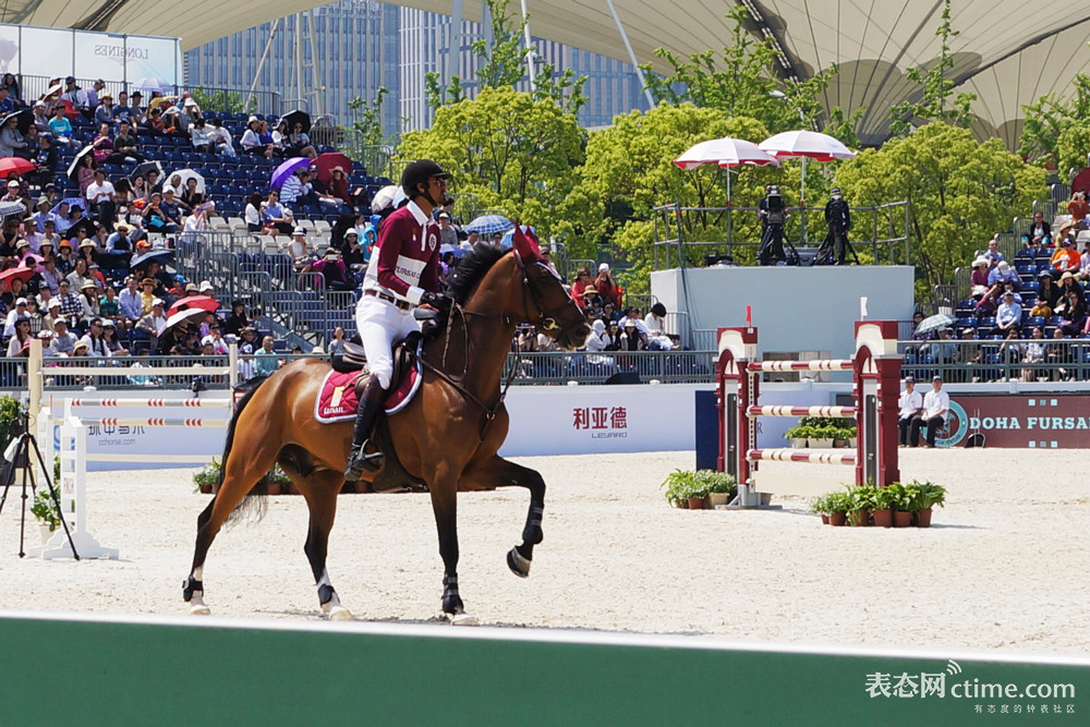 马术需要关注几个误区,观赏马有哪些