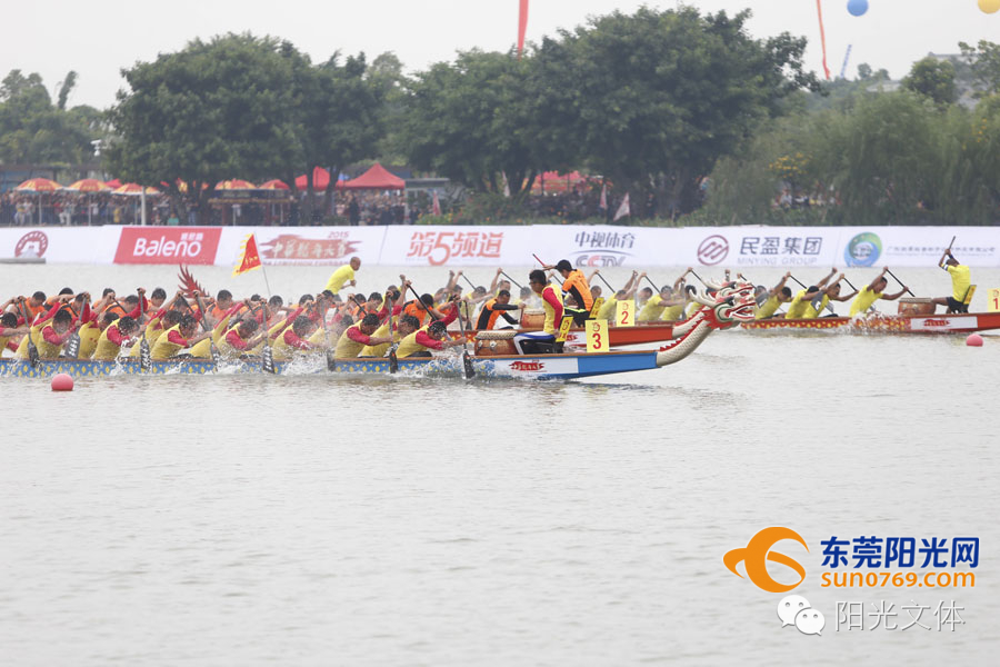 麻涌镇运会要来啦！这个夏天，不妨来麻涌观赛赏花赏美景吧！