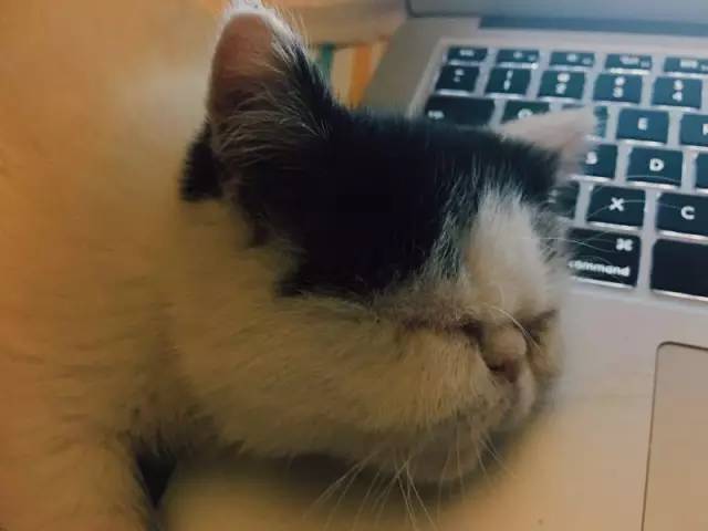 面部日常防晒推荐,夏日防晒全套