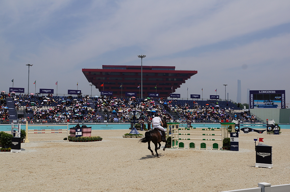 马术需要关注几个误区,观赏马有哪些